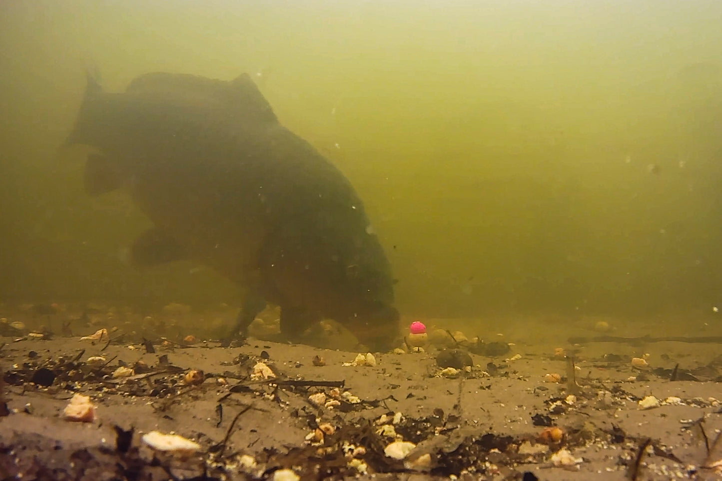Inline Onderwater Camera (Westin Explorer cam met WK Voet)
