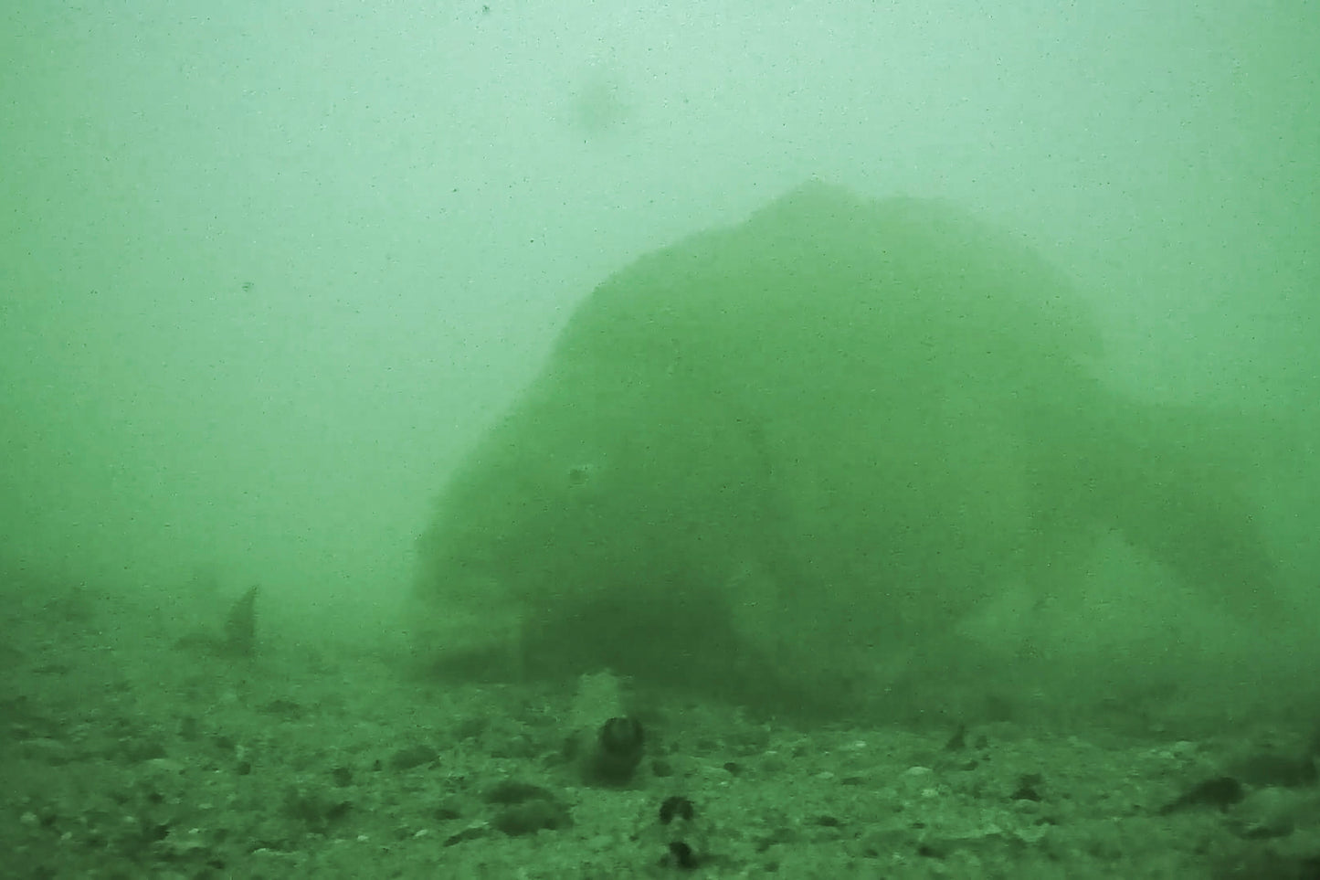 Inline Onderwater Camera (Westin Explorer cam met WK Voet)