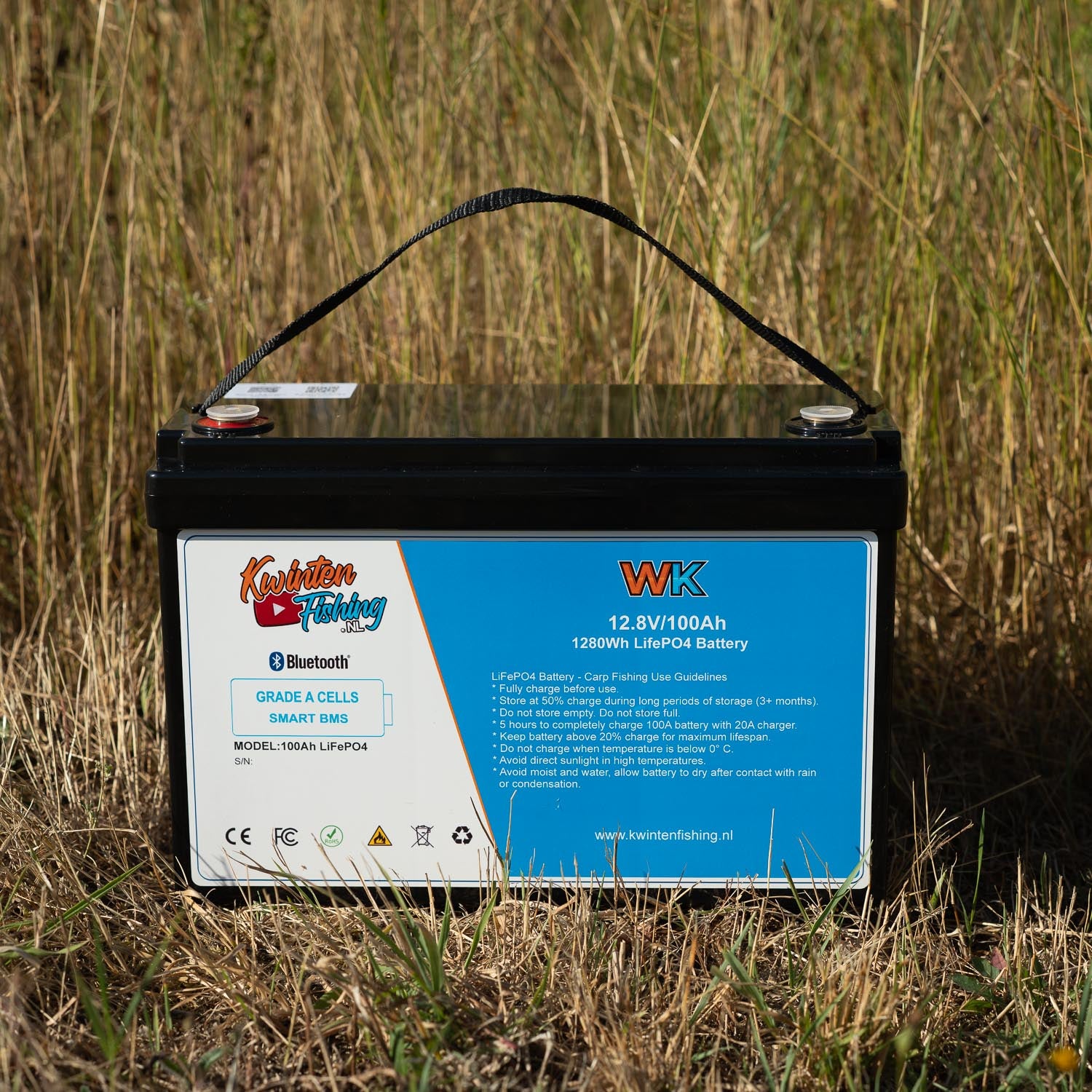 LiFePO4 100ah 12V accu set