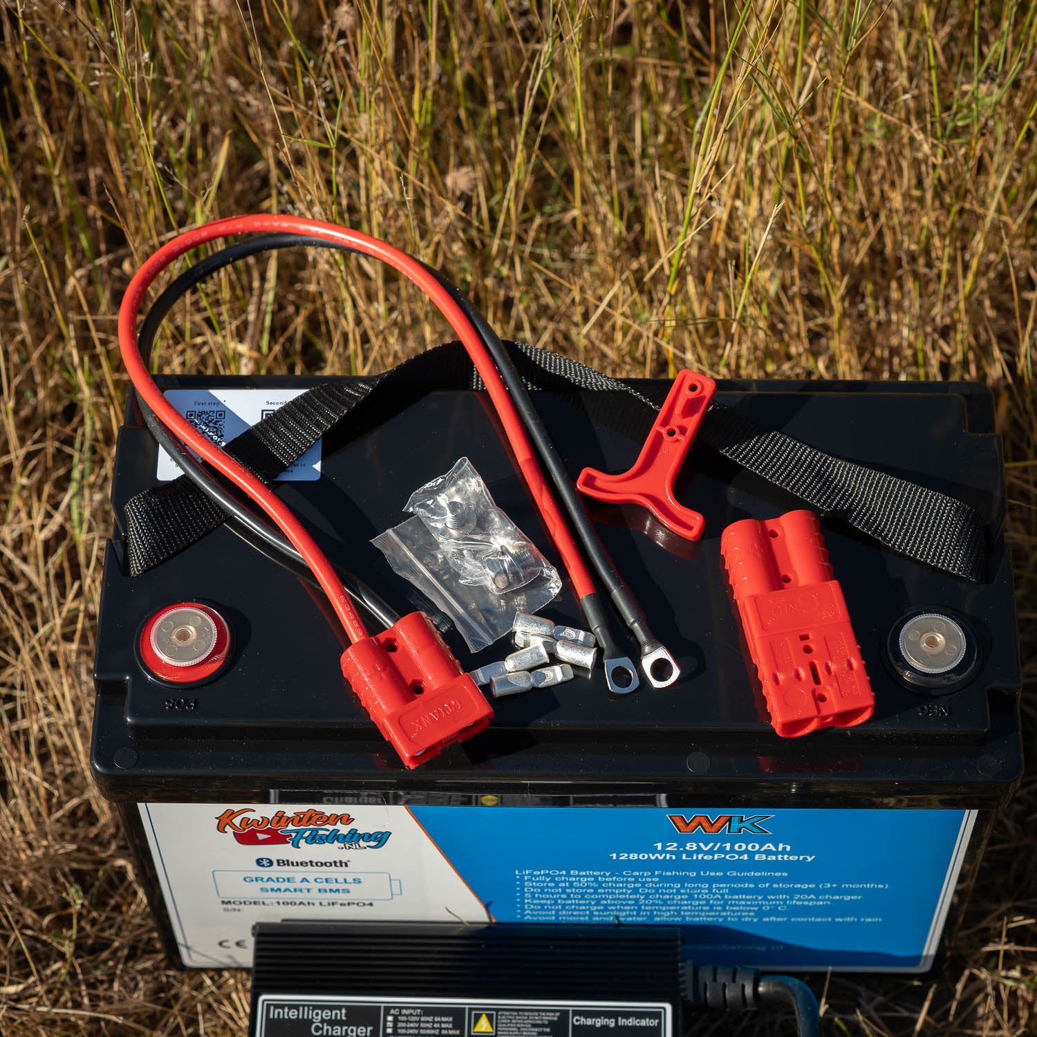 LiFePO4 100ah 12V accu set