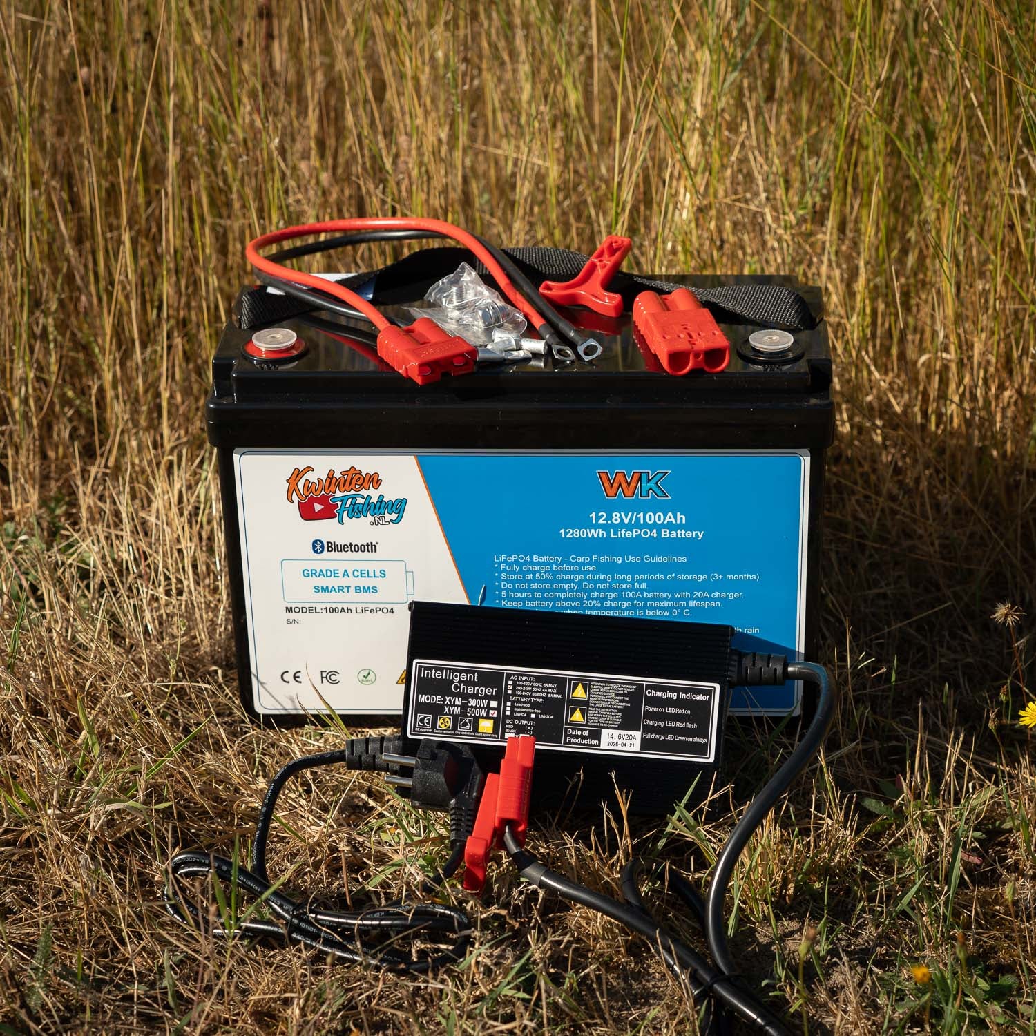 LiFePO4 100ah 12V accu set