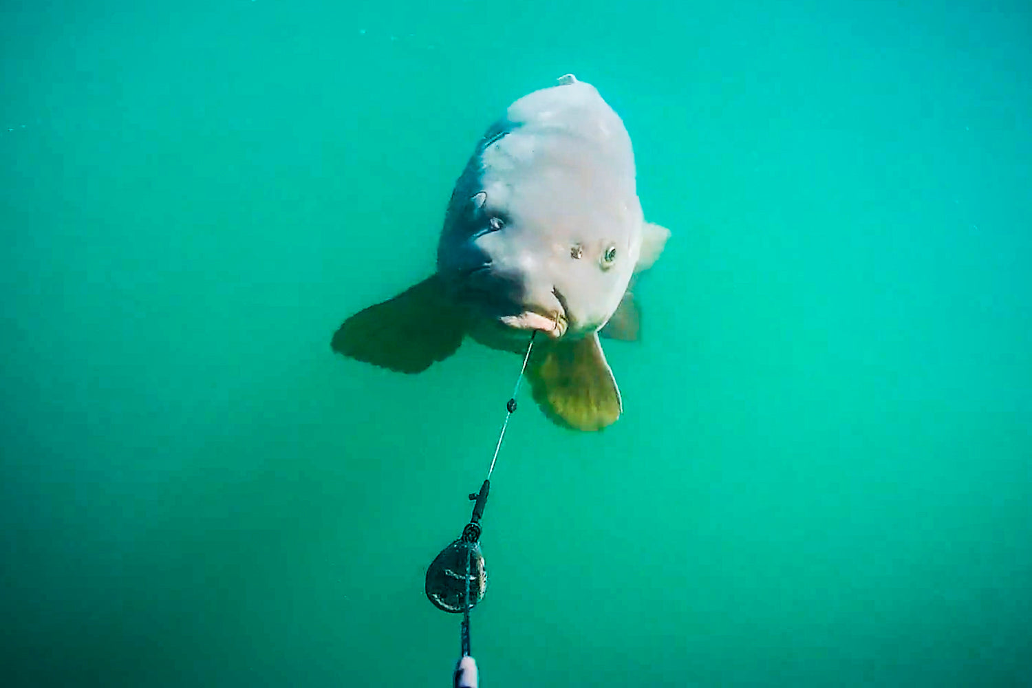 WK Loodsysteem V2 - Preorder