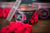 WK 1 Roze Haakaas