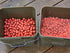 WK 1 Boilies - 5KG