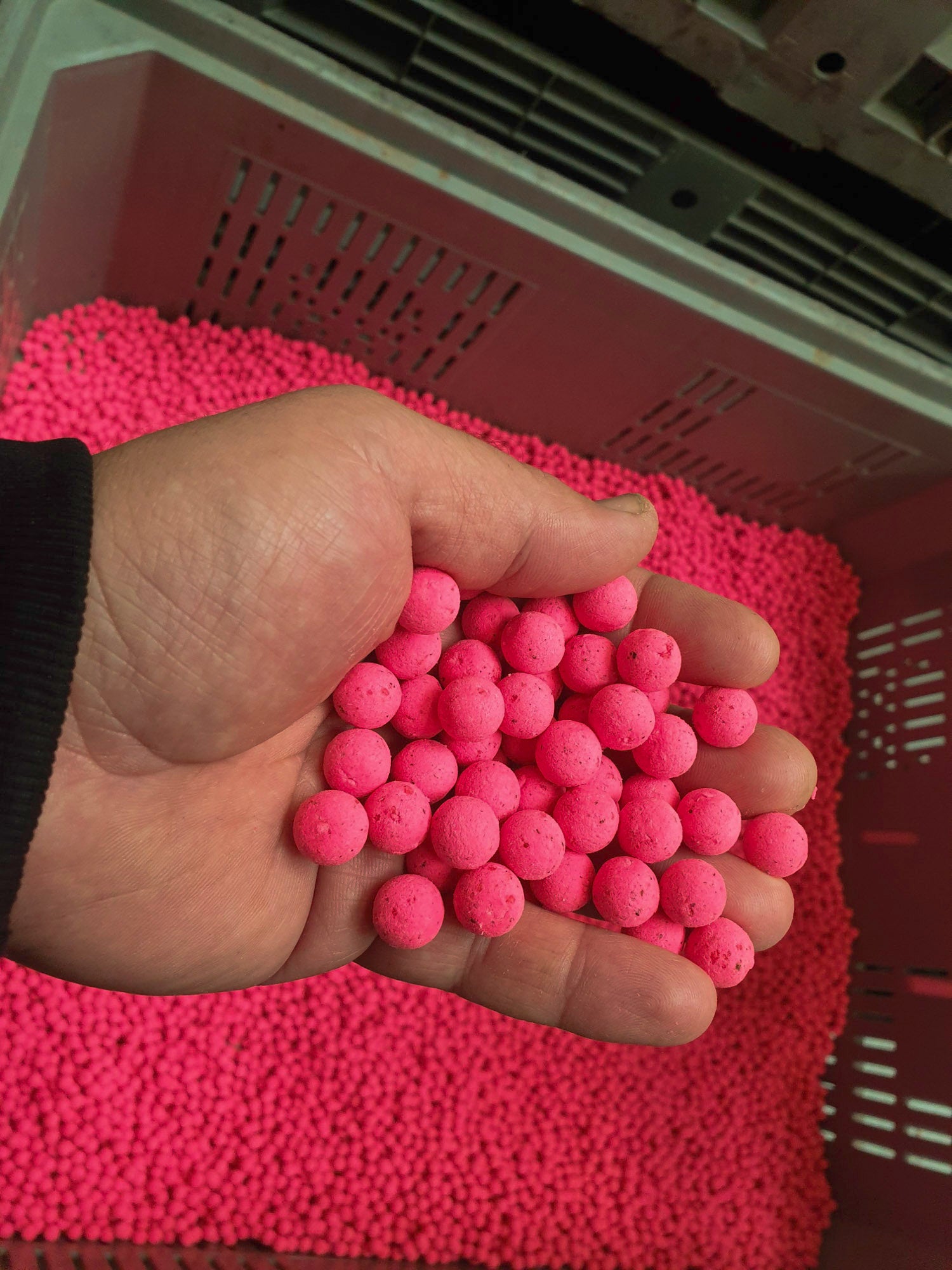 WK 1 Roze Haakaas