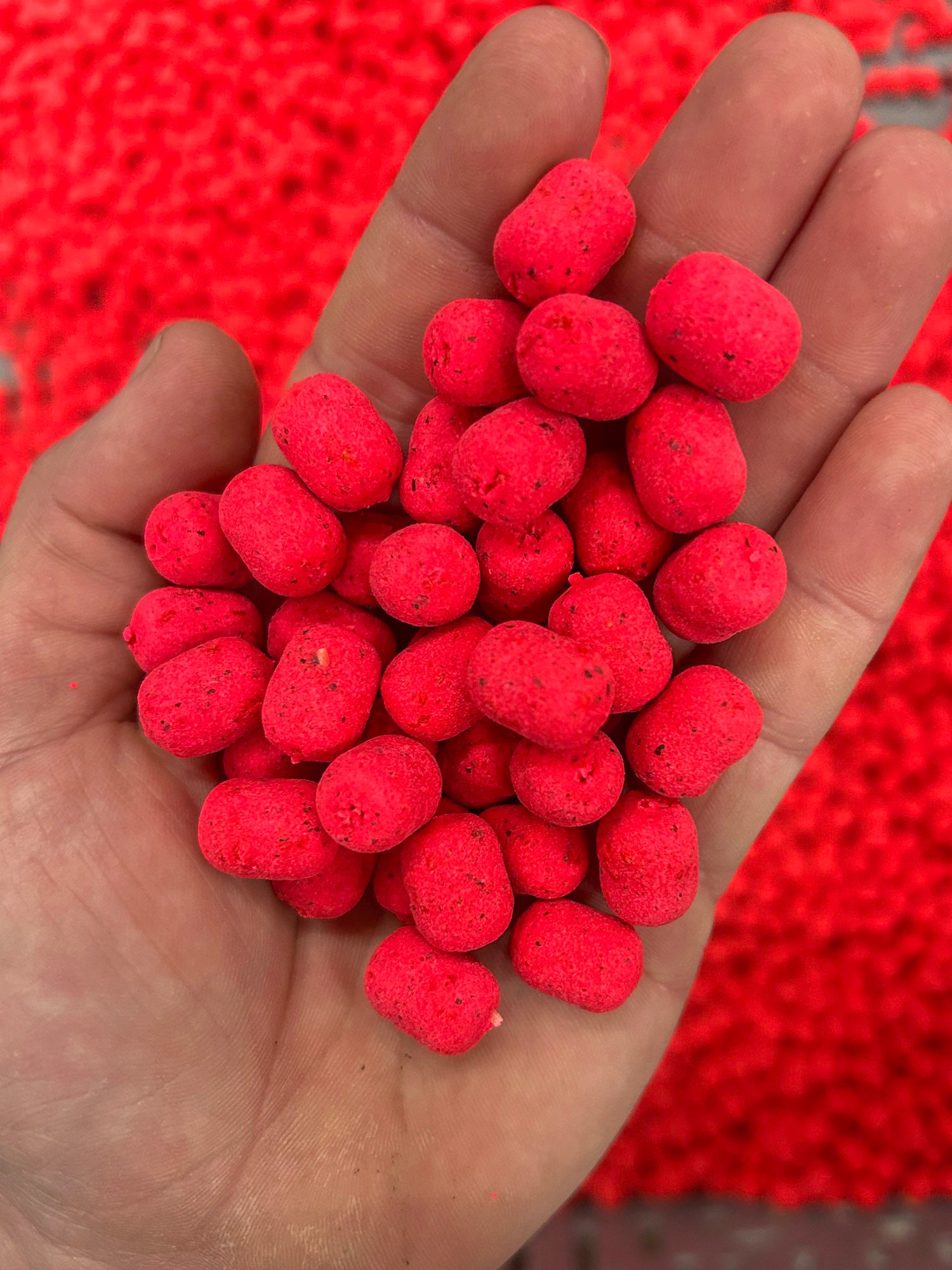 WK 1 Roze Haakaas - Preorder