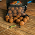 WK 2 Hot Fish Aasbundel