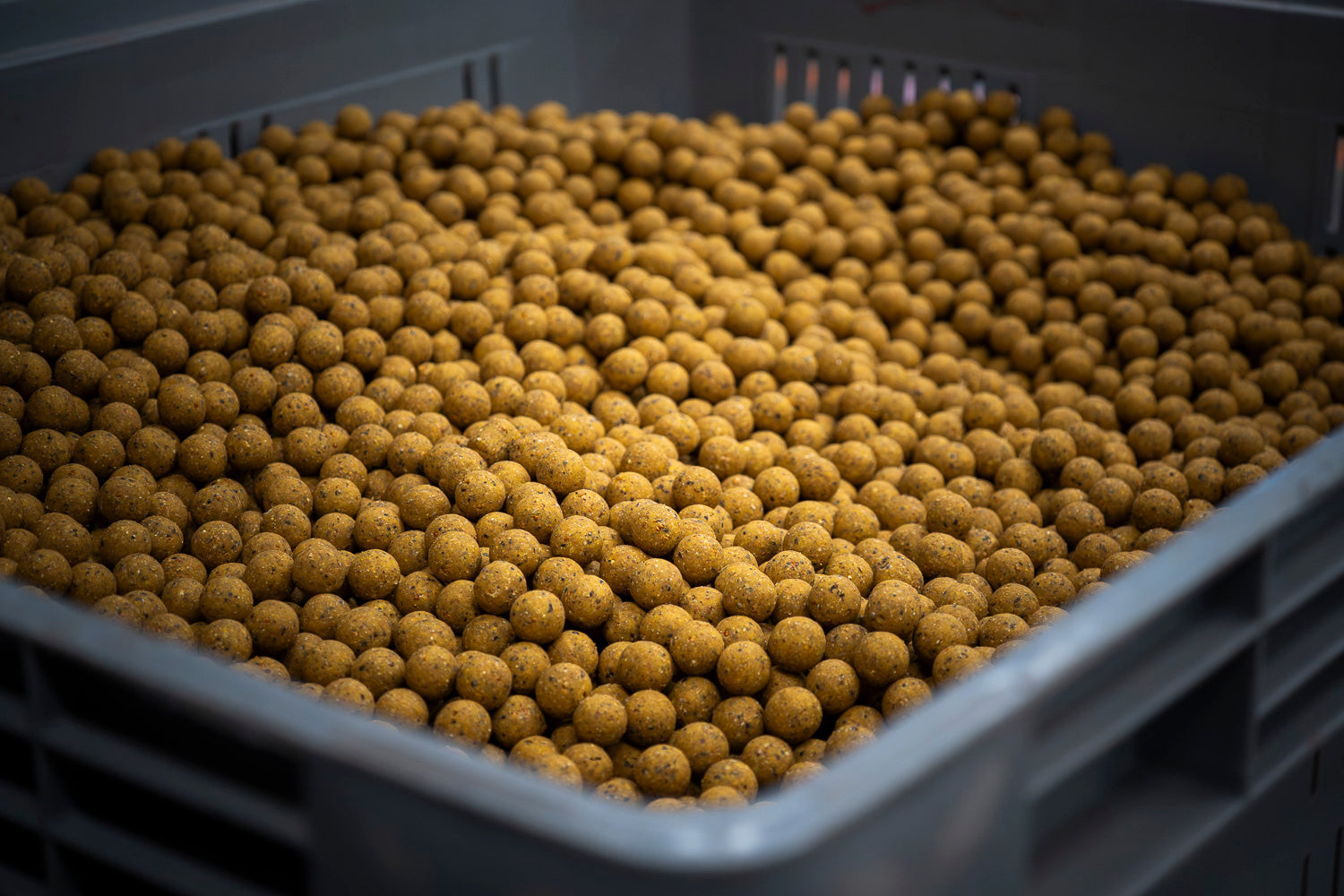 WK 2 Boilies - 5 KG