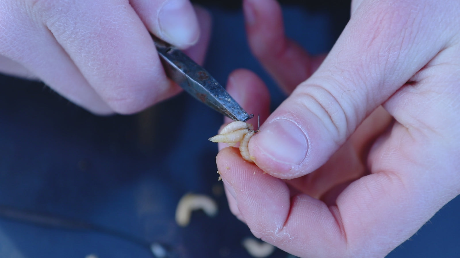 Maden, Casters & Wormen