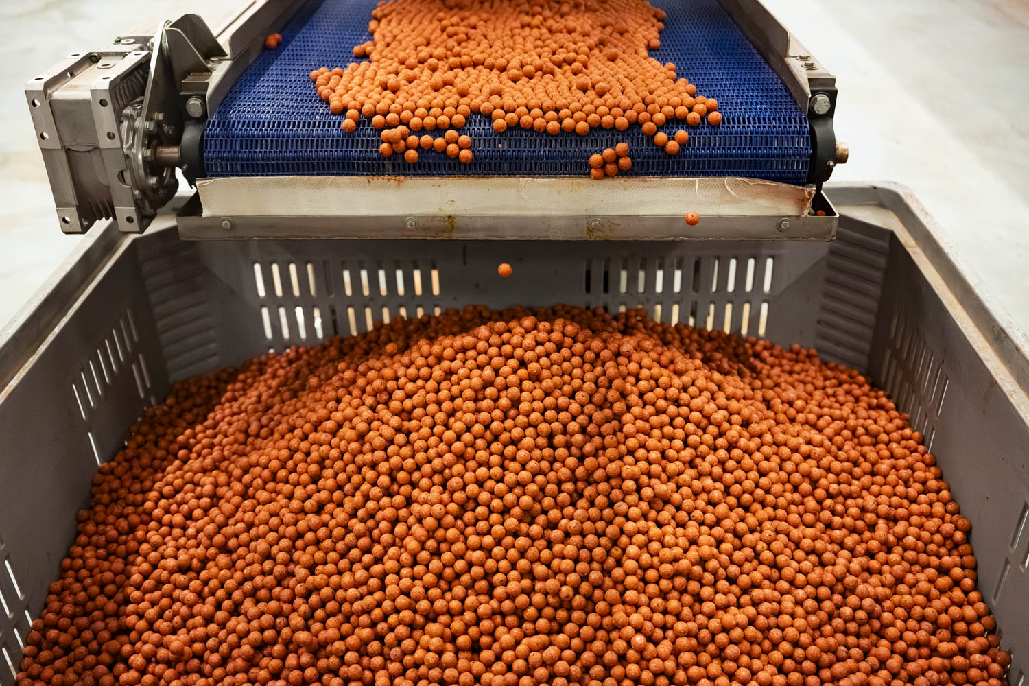 WK 1 Boilies - 5KG