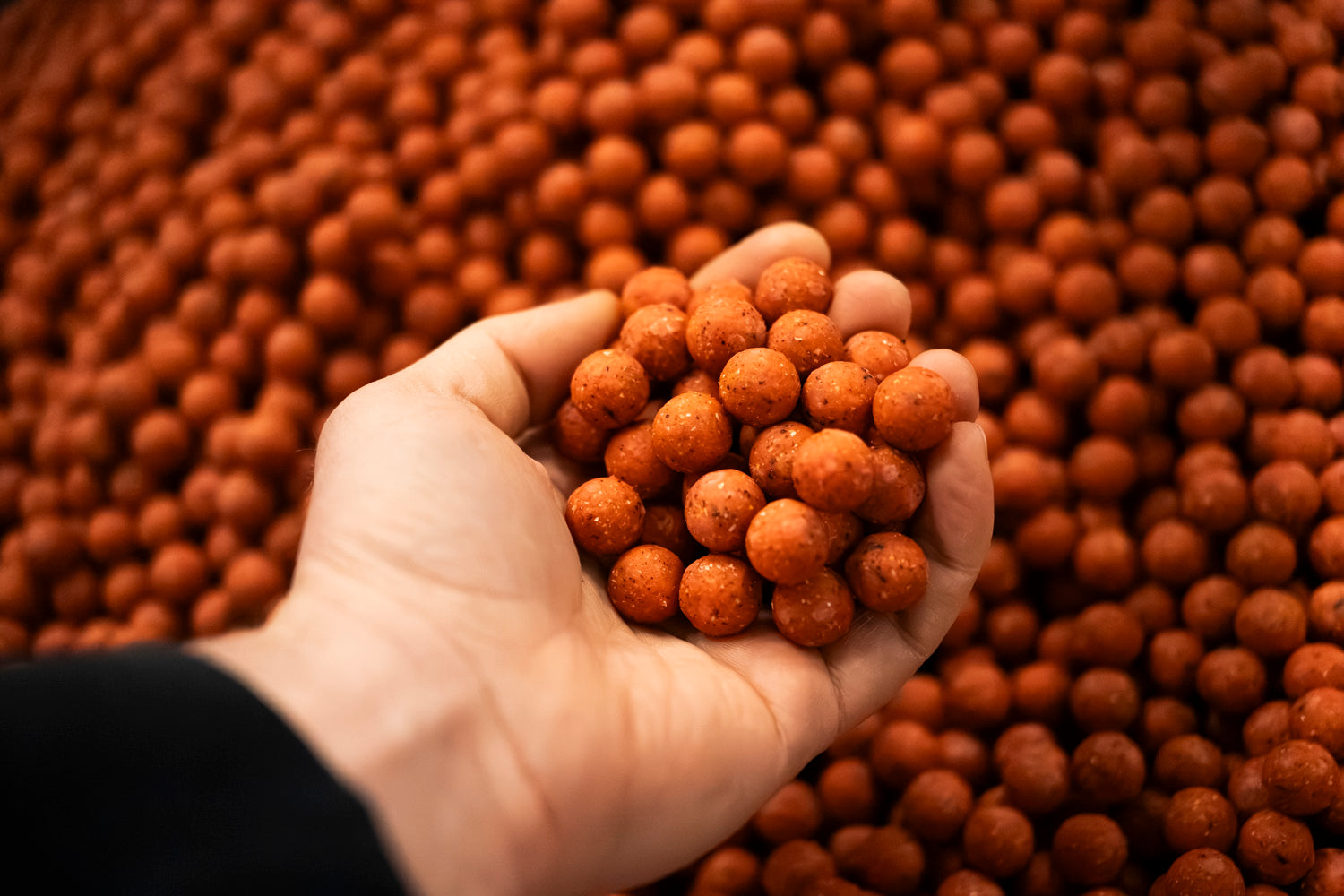 WK 1 Boilies - 5KG