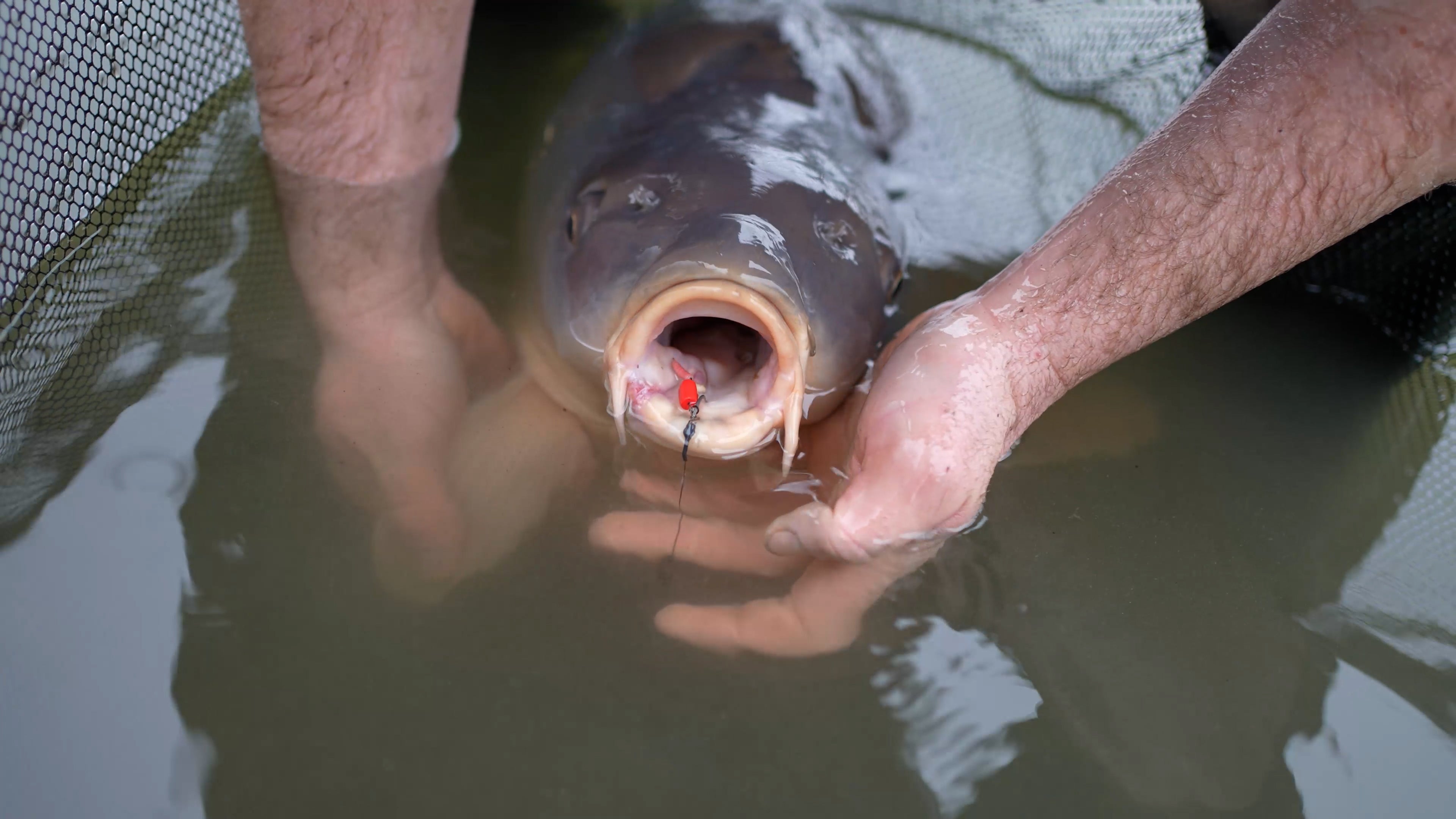 Maden, Casters & Wormen