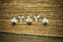 Bait Screw