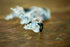 Bait Screw