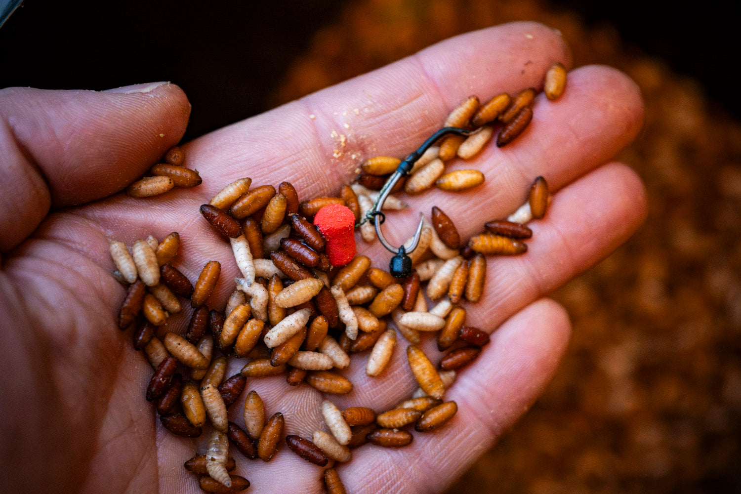 Maden, Casters & Wormen