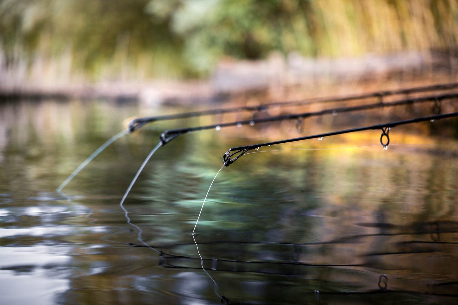 WK Fluorocarbon Hoofdlijn