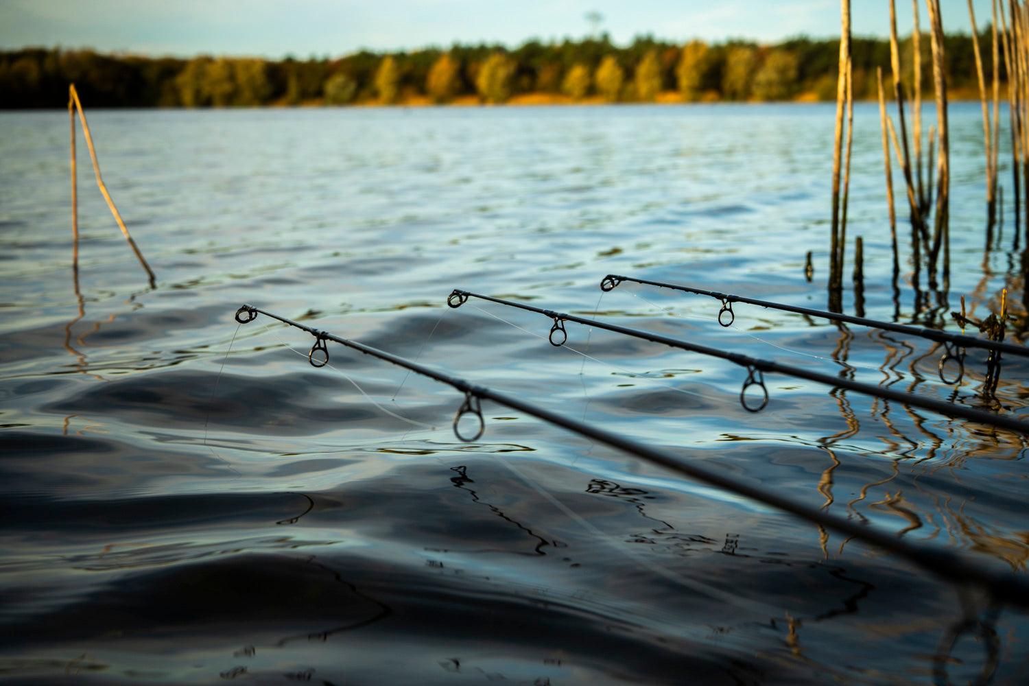 WK Fluorocarbon Hoofdlijn