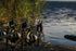 WK 100% Fluorocarbon Hoofdlijn 1000m