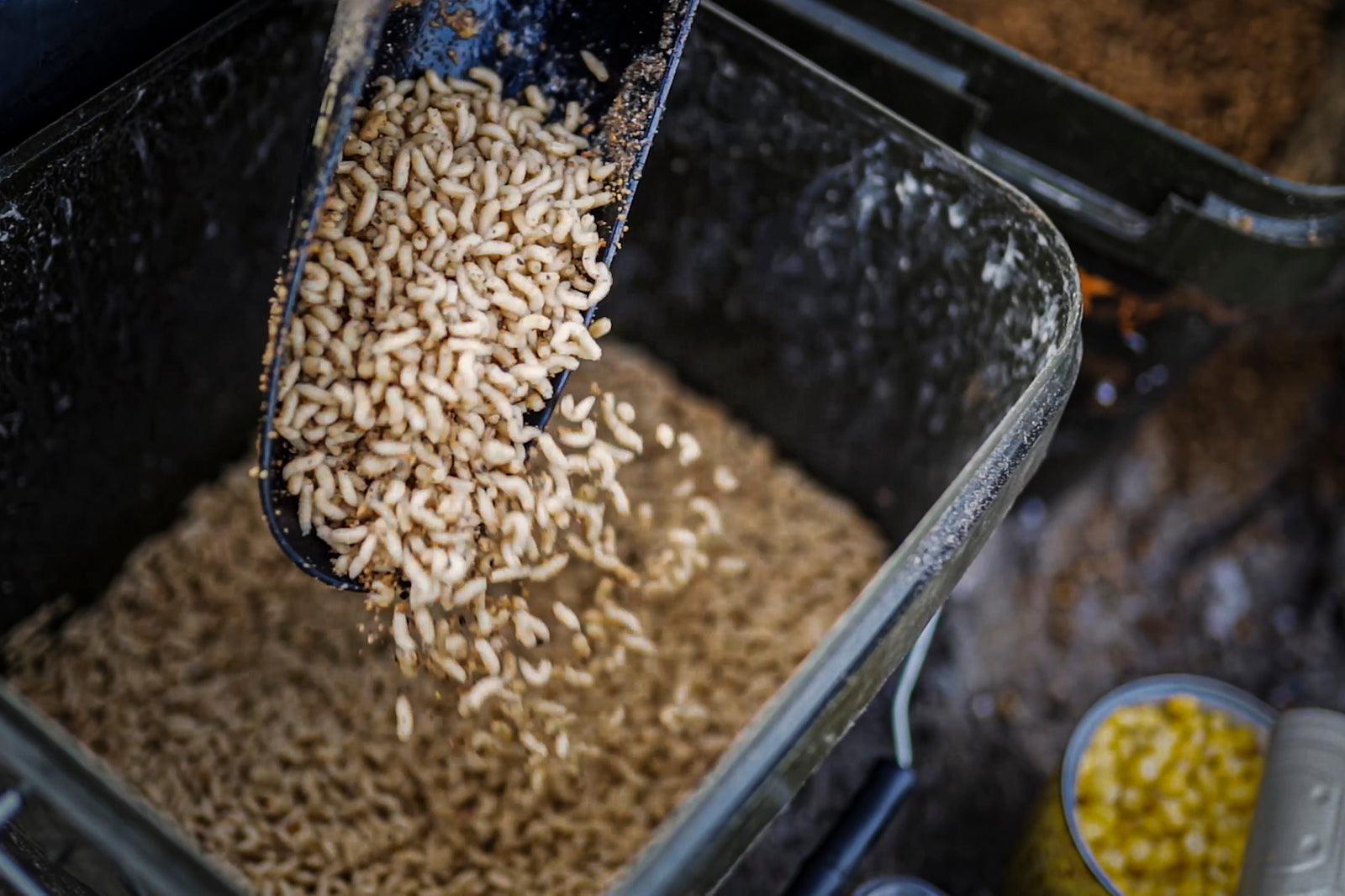 Maden, Casters & Wormen