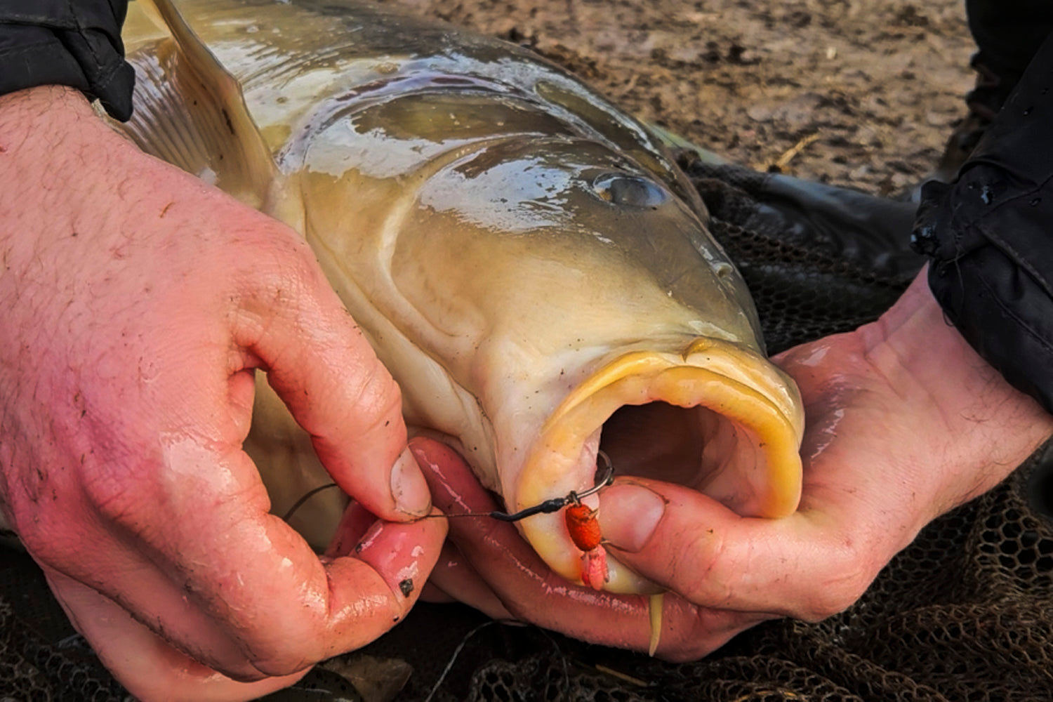 Maden, Casters & Wormen