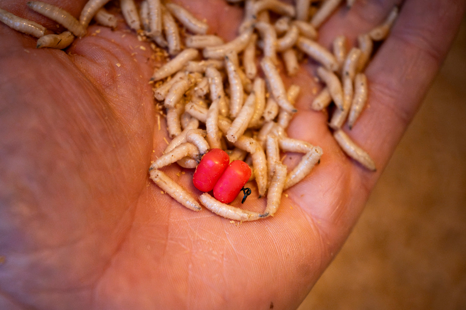 Maden, Casters & Wormen