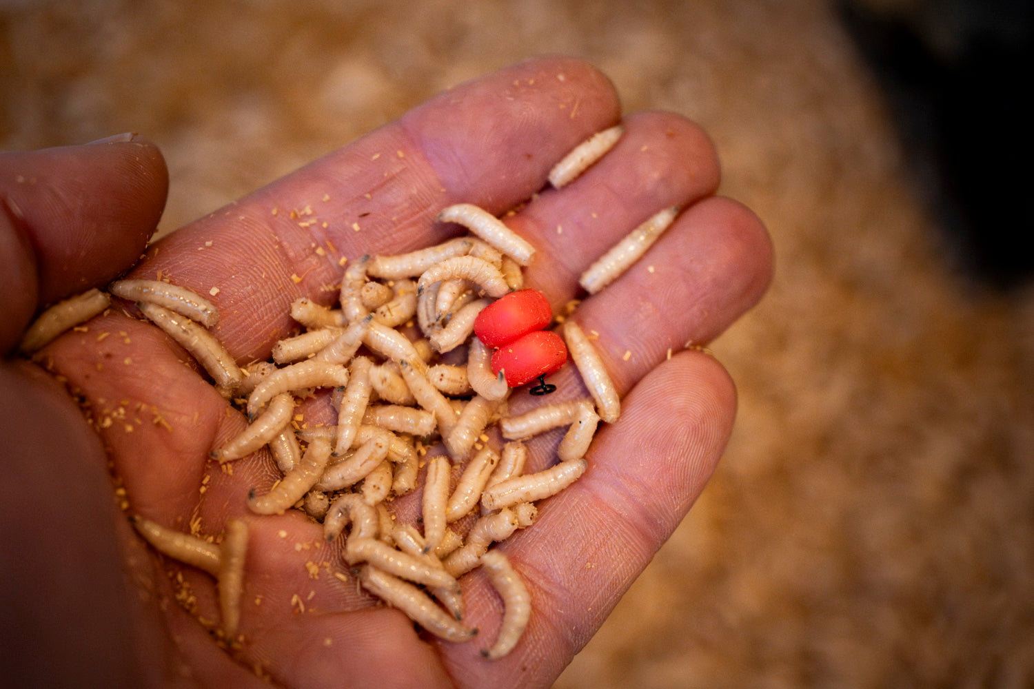 Maden, Casters & Wormen