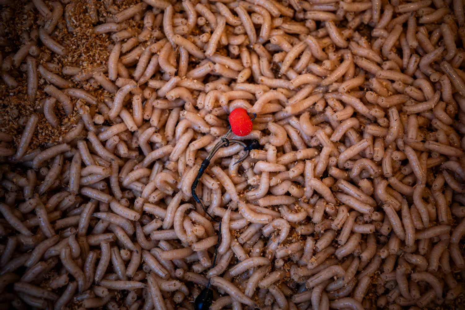 Maden, Casters & Wormen