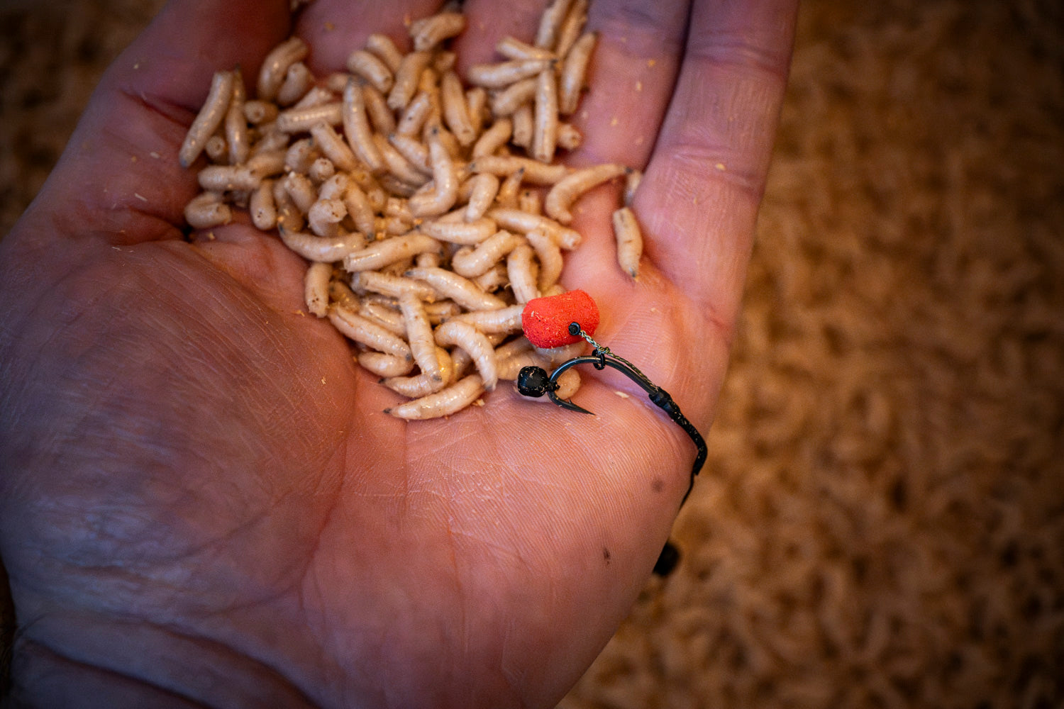 Maden, Casters & Wormen