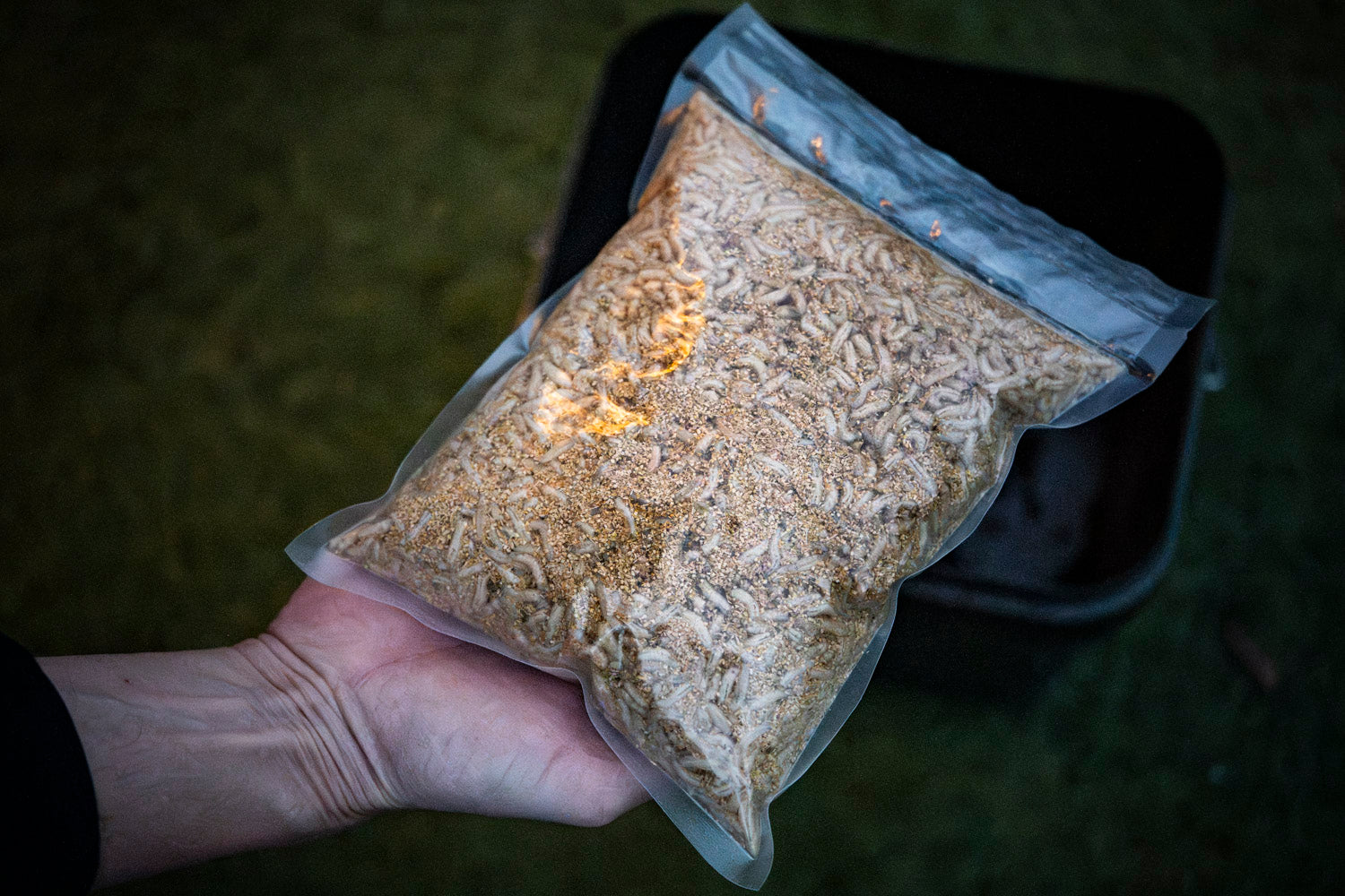 Maden, Casters & Wormen