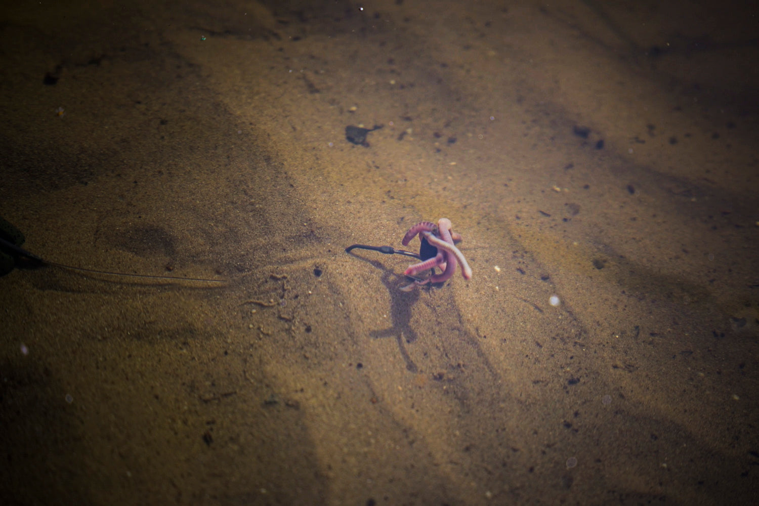 Maden, Casters & Wormen