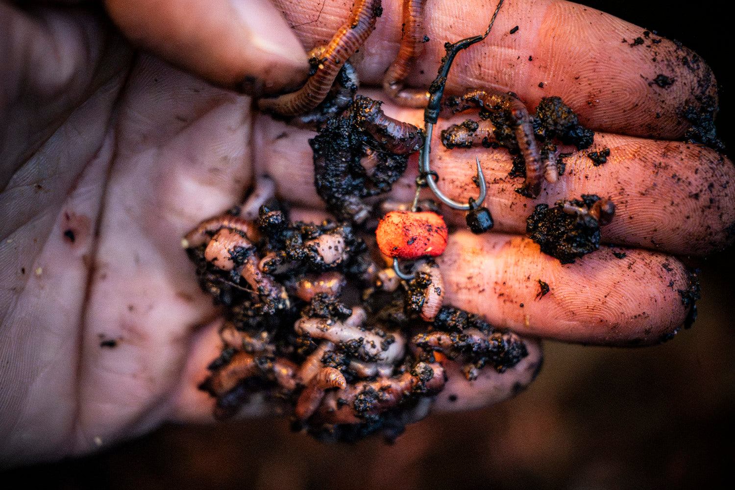 Maden, Casters & Wormen